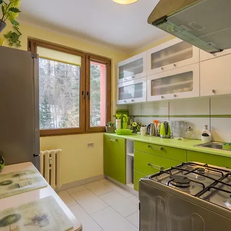 Sniezna Sowa * Szklarska Poręba