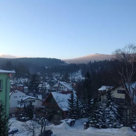 Sniezna Sowa *
